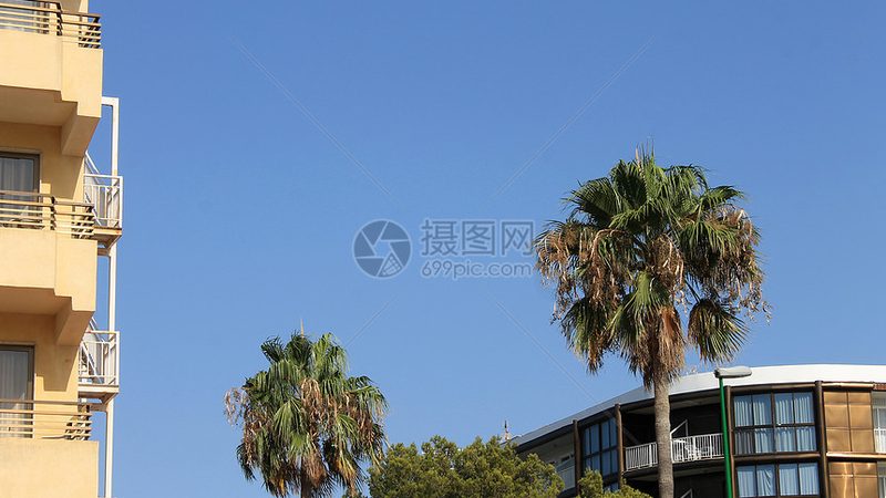 误区：价格越低越好