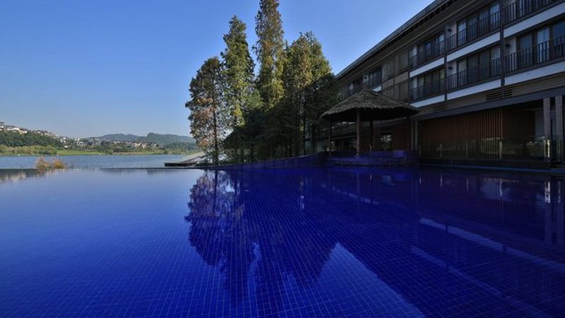 揭秘上海旅游公司排名背后的真相
